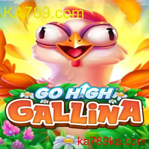 GoHighGallina